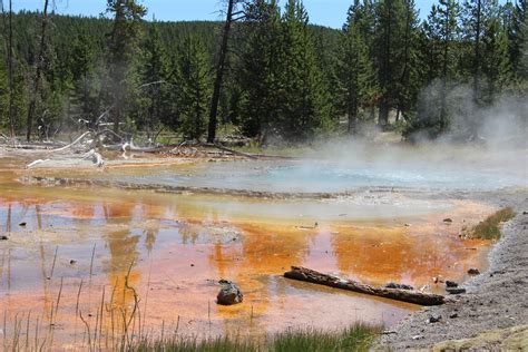 Yellowstone Hot Springs Free Stock Photo Public Domain Pictures