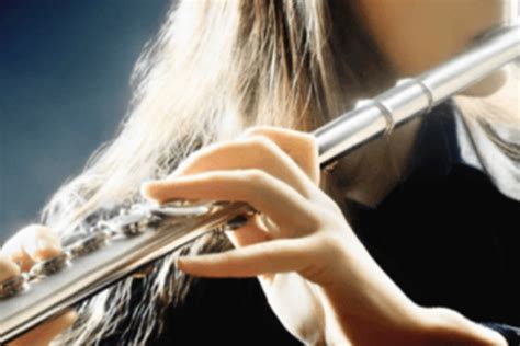 Flauta Transversal Caires Escola De Música E Dança