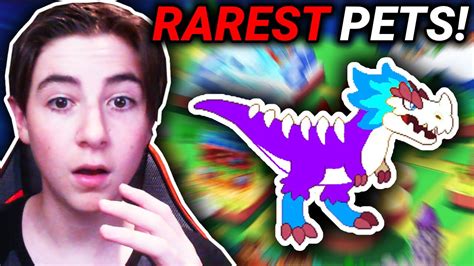 Prodigy Math Game Top 5 Rarest Pets Rare Youtube