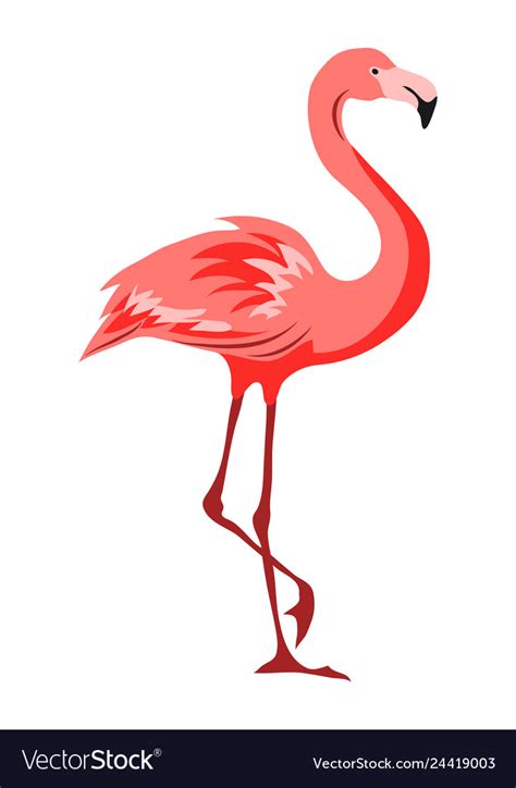 Pink Flamingo Tropical Exotic Royalty Free Vector Image