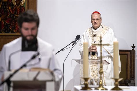 Magyar >>> letöltés | olvassa el itt. Erdő Péter: Az ünnep alkalom, hogy szembenézzünk a hitünkkel