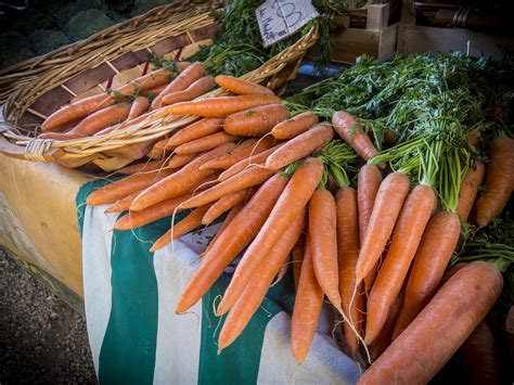 The ferny foliage is attractive and you will be pulling the carrots before the roots of the flowers take over the pot. A Comprehensive Guide to Growing Carrots in Containers - Garden and Happy