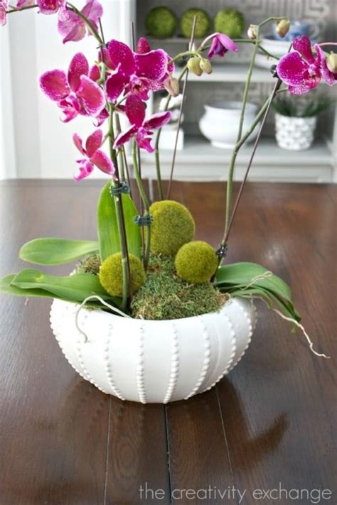 Decorating With Orchids And A Great Trick For Growing Them Growing Orchids Orchids Orchids