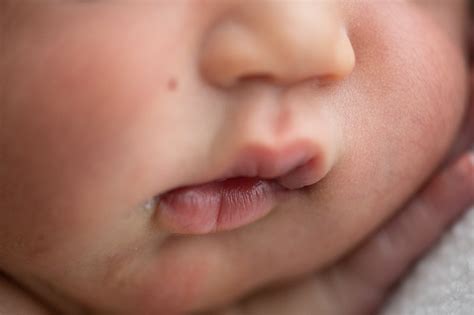 Newborn Baby Photography Clare Fisher Photography