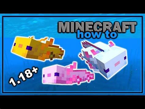 Minecraft Top 5 Skins For Axolotls