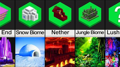 Comparison Minecraft Biomes In Real Life Youtube