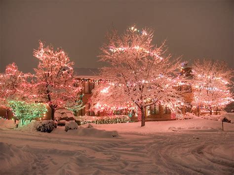 Christmas Snow Winter Lights Beautiful White Holidays Up