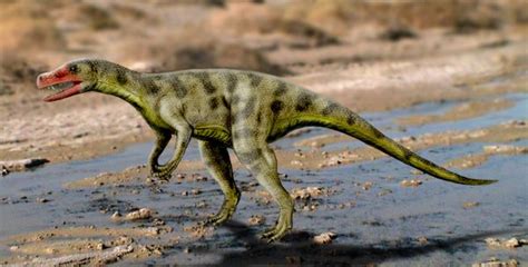 Sanjuansaurus Dinosaur Pedia Wikia Fandom