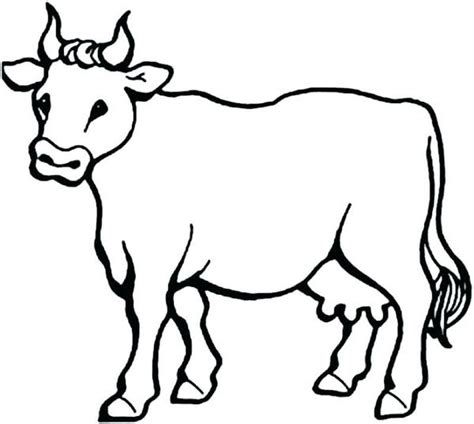 Cute Cow Coloring Pages PDF  Free Coloring Sheets  Cow coloring pages