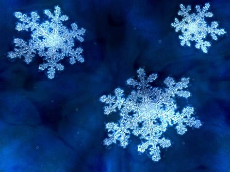 Winter Close Up Wallpapers 4k Hd Winter Close Up Backgrounds On Wallpaperbat