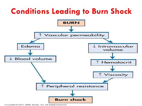 Unit 2 Management Of Patients With Burn