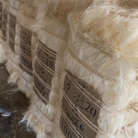 Sisal Fibre Suppliers And Manufacturers