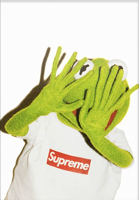 Kermit Supreme Poster 70x100cm Fashion Poster Print
