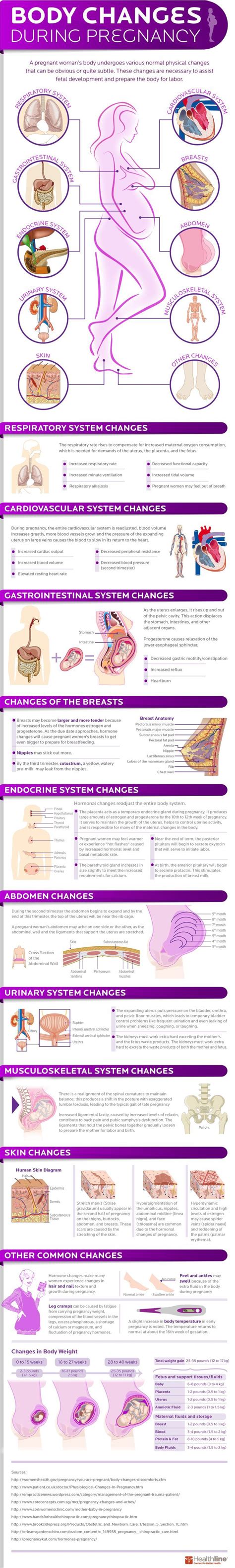Taken at the museum of science and industry. How a Woman's Body Changes During Pregnancy (Infographic ...