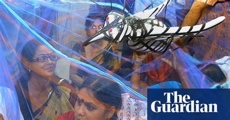 dengue fever spreads in india in pictures global development the guardian