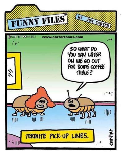 the life of termites termites funny quotes pest control