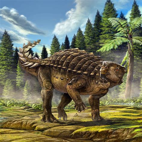 Kunbarrasaurus Paleontology World
