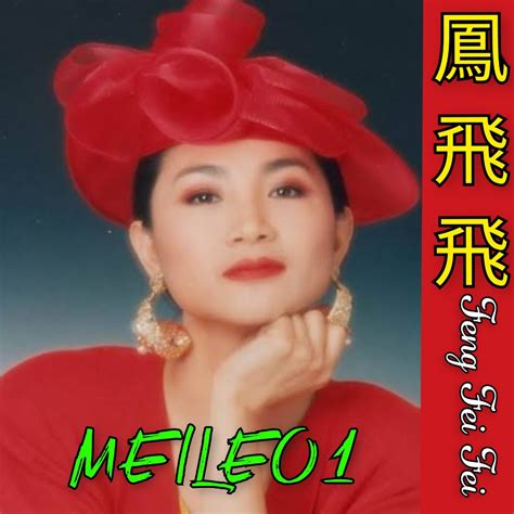祝你幸福 zhu ni xing fu song lyrics and music by 风飞飞 feng fei fei arranged by meileo1 on smule