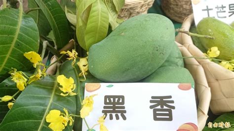 Näytä lisää sivusta 黃偉哲 facebookissa. 國際芒果節26日登場 黃偉哲cue沈榮津、蕭美琴返鄉 - 臺南市 - 自由時報電子報