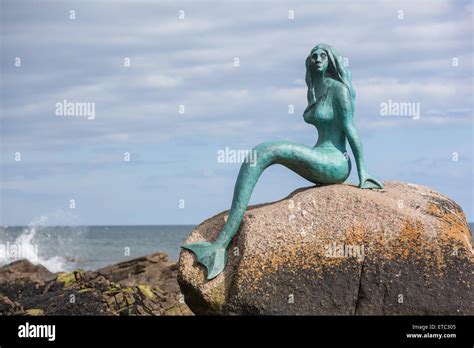 Mermaid On Rock High Resolution Stock Photography And Images Alamy