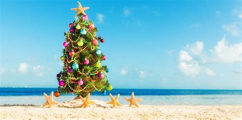 Download Caption Vibrant Australian Christmas Under The Blue Sky