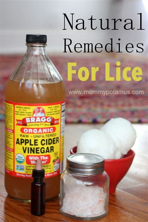 How To Get Rid Of Lice Naturally Natural Healing Remedies Herbal
