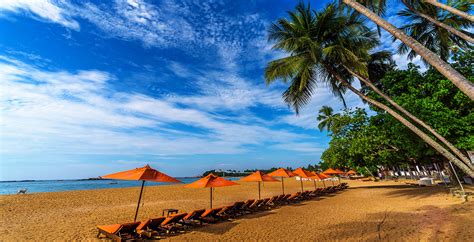 Calamander Beach Resort Unawatuna Beach Resort Sri Lanka