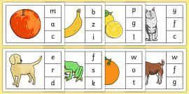S_a_t_p_i_n worksheet lesson plan template and teaching resources. (1) SATPIN Sorting Cards (teacher made) | Initial sounds ...
