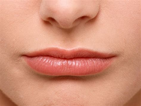 Female Lips Album 3313 Featured Sites Figure Female Lips Lips