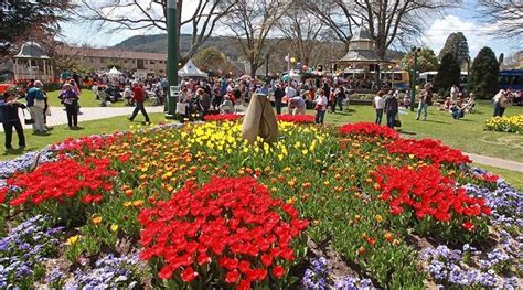 Ahhh Gorgeous Bowral Garden History Tulip Festival New South Wales