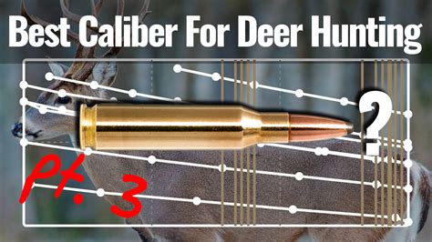 Best Caliber For Deer Hunting Pt 3 Overall Scores Redkettle