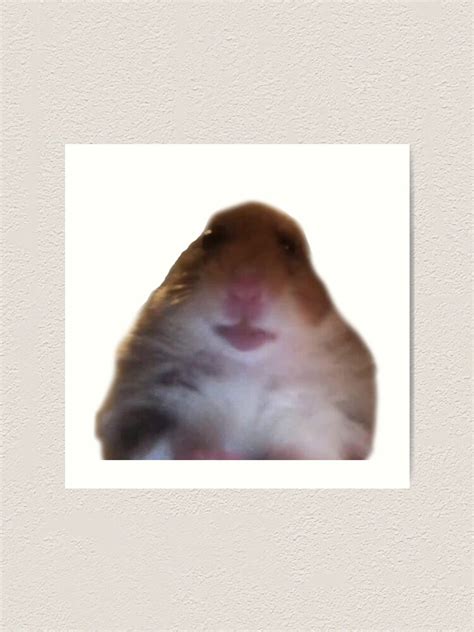 Facetime Hamster Meme Edit Bristoljournal