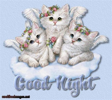 Best Good Night Images Good Night Cat Good Night Greetings Good