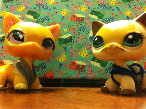 My Lps Cats Lps Popular For Sophiegtv And My Lps Photo 36882358