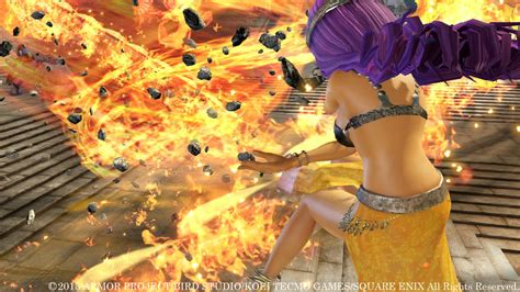The cast of dragon quest iv. Dragon Quest Heroes Maya and Terry Screenshots - oprainfall
