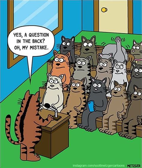 Cat Comics Cat Jokes Cat Comics Funny Cats