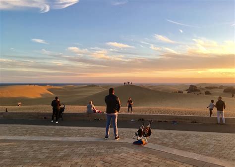 Premium Photo Sand Dunes In The Canary Islands