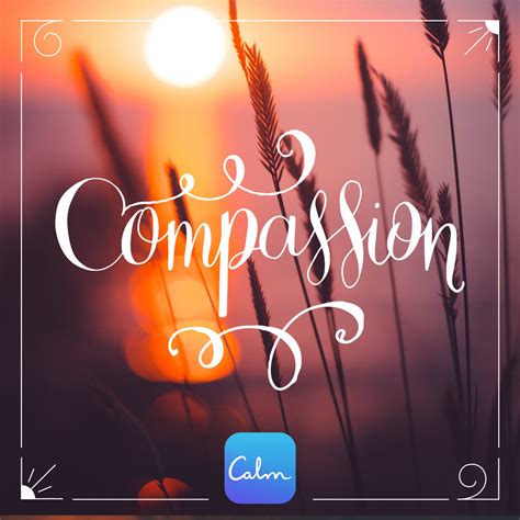 View the best compassion photos, compassion images, compassion pictures compassion free images free stock photos you can use everywhere. COMPASSION — Calm Blog