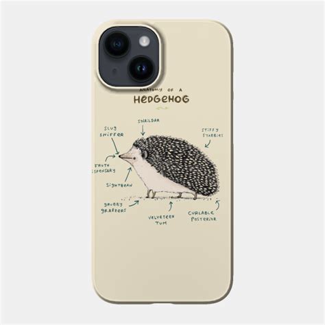 Anatomy Of A Hedgehog Hedgehogs Phone Case Teepublic