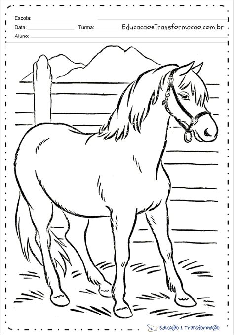 Aprender Sobre 114 Imagem Cavalos Desenhos Para Colorir Br
