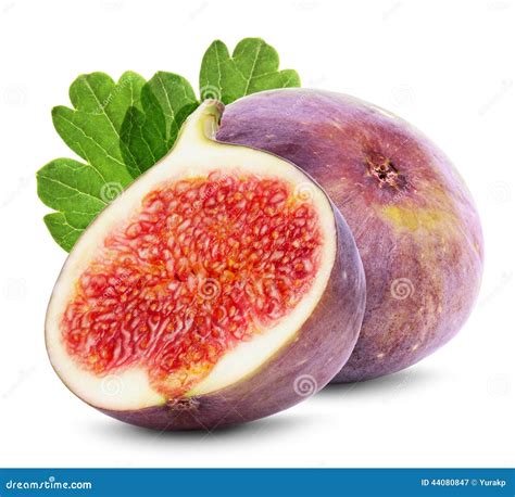 Figs Fruits Isolated On The White Background Stock Image Image Of White Fruit 44080847