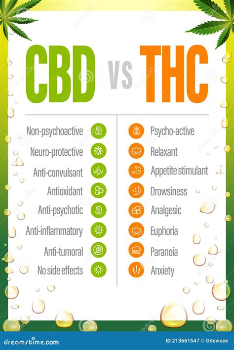Cbd Vs Thc Poster With Comparison Cbd And Thc List Of Differences