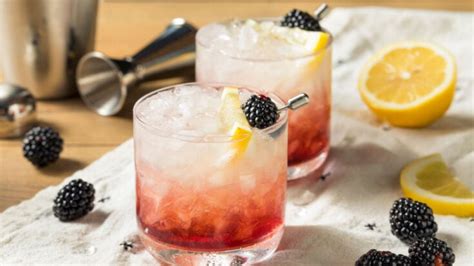 16 Best Summer Gin Cocktails To Drink