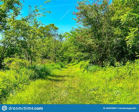 Summertime Scenery In Pennsylvania Stock Image Image Of Natural Alan