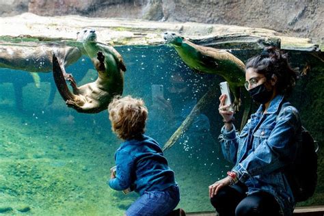 Woodland Park Zoo Is One Of The Very Best Things To Do In Seattle