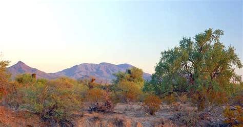Sonoran Desert National Monument Phoenix Roadtrippers