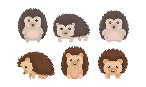 Cute Hedgehog In Various Poses Set Lovely Prickly Animal Cartoon