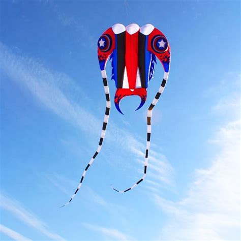 2sqm Nylon 3d Inflatable Kite Flying Buy Kite Flyingkite Flying