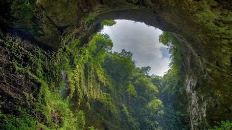 Forest Nature Green Cave Arch Jungle Rainforest Formation