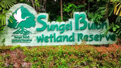 Getting To And Around Sungei Buloh Wetland Reserve In Singapore Vu